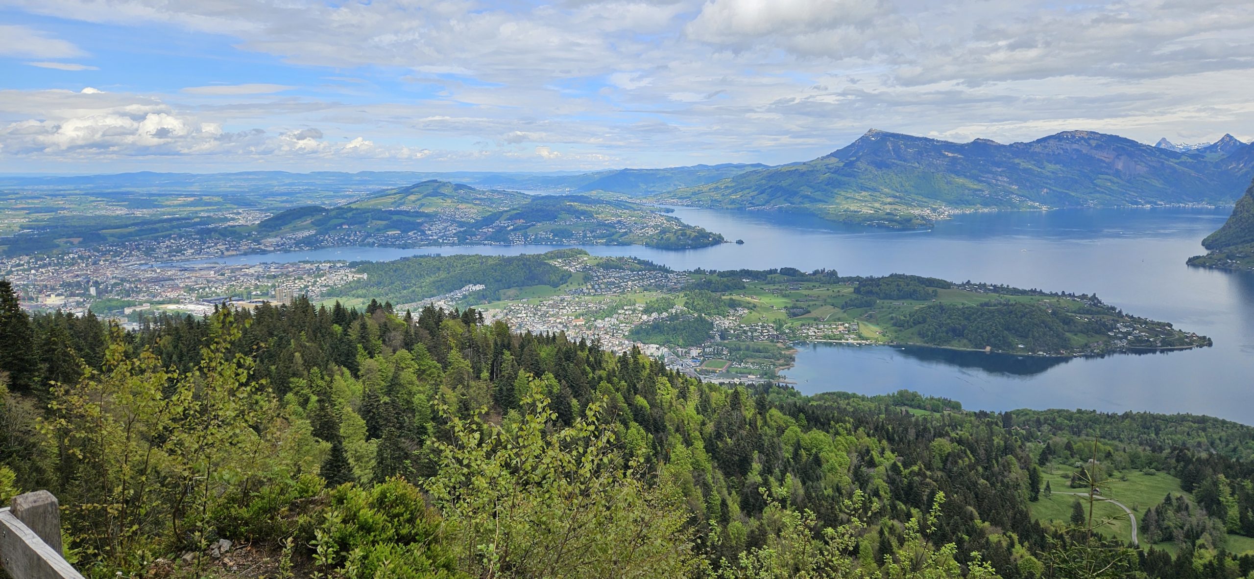 pauki